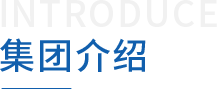 上海中城衛(wèi)保安公司集團(tuán)介紹